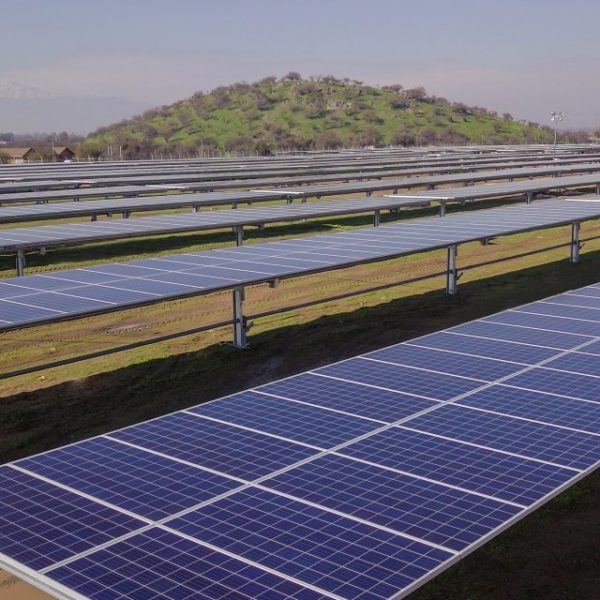 girasoles ingenieria