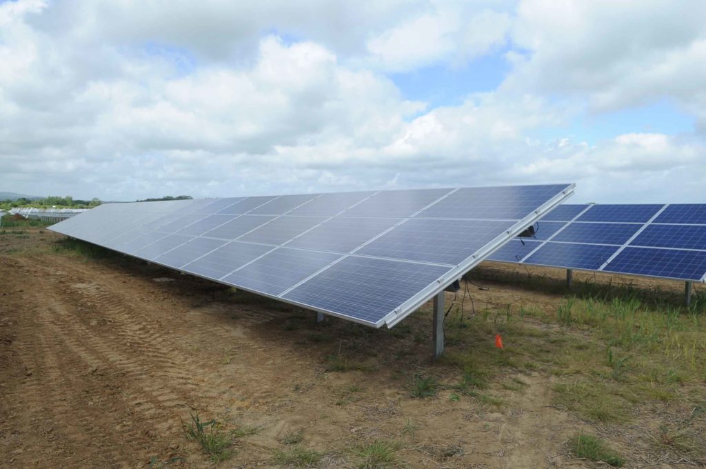 Site manager Antje Bergmann on the solar farm at Whitelackington